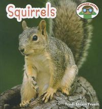 Cover image for Squirrels