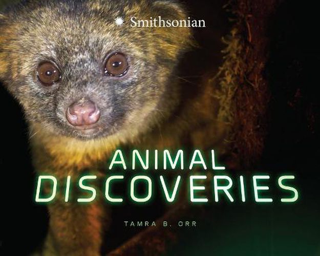 Cover image for Animal Discoveries