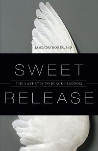 Cover image for Sweet Release: The Last Step to Black Freedom