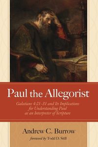 Cover image for Paul the Allegorist