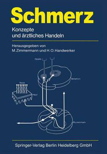 Schmerz: Konzepte Und AErztliches Handeln