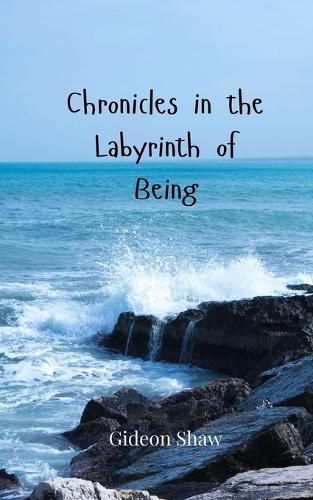 Cover image for Chronicles in the Labyrinth of Being