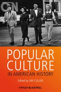 Cover image for Popular Culture in American History