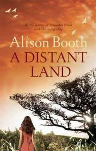 Cover image for A Distant Land