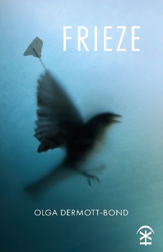 Cover image for Frieze