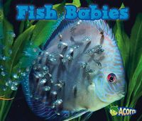 Cover image for Fish Babies (Animal Babies)