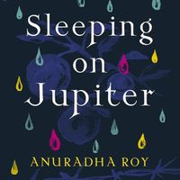Cover image for Sleeping on Jupiter