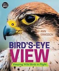 Cover image for Bird's Eye View: Keeping Wild Birds in Flight