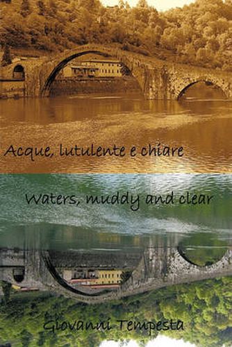 Cover image for Acque, Lutulente E Chiare Waters, Muddy and Clear