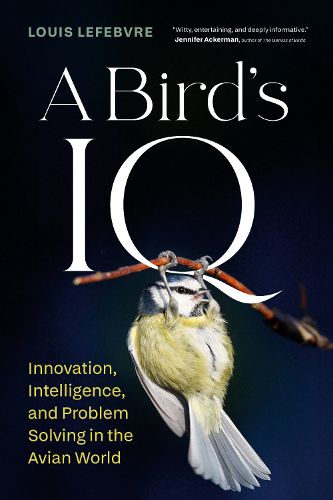 Cover image for A Bird's IQ