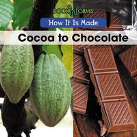 Cover image for Cocoa to Chocolate