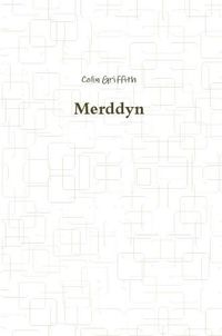 Cover image for Merddyn