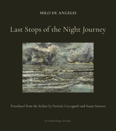 Cover image for Last Stops of the Night Journey