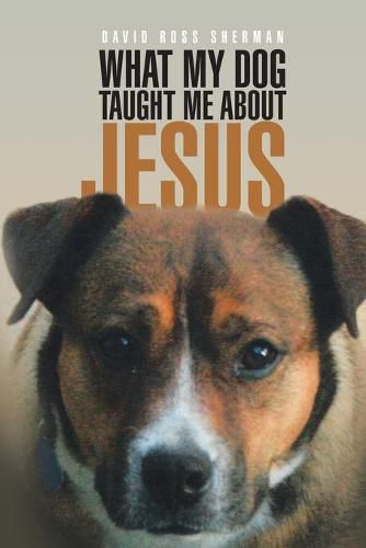 Cover image for What My Dog Taught Me About Jesus