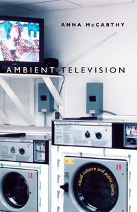 Cover image for Ambient Television: Visual Culture and Public Space