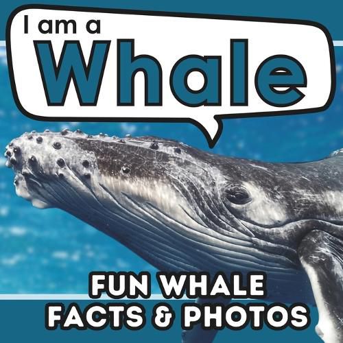 Cover image for I am a Whale