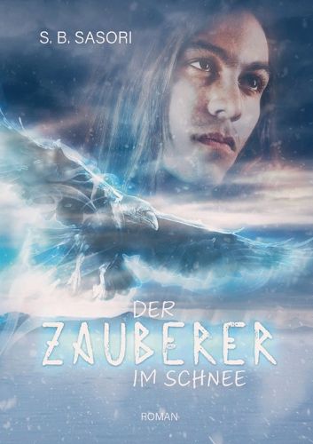Cover image for Der Zauberer im Schnee