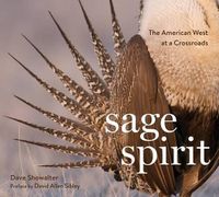 Cover image for Sage Spirit: The American West at a Crossroads