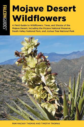 Mojave Desert Wildflowers