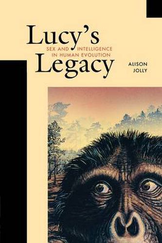 Cover image for Lucy's Legacy: Sex and Intelligence in Human Evolution