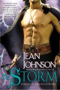 Cover image for The Storm: A Novel of the Sons of Destiny