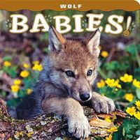 Cover image for Wolf Babies!