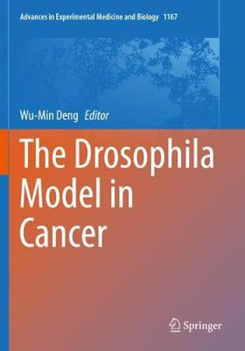 Cover image for The Drosophila Model in Cancer