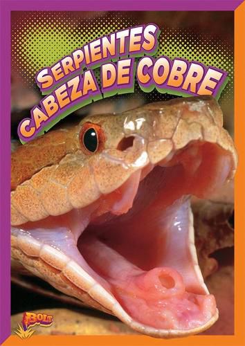 Cover image for Copperheads