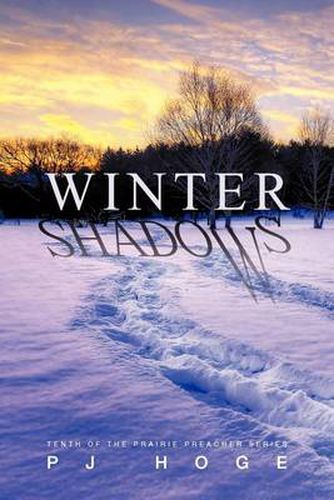 Cover image for Winter Shadows