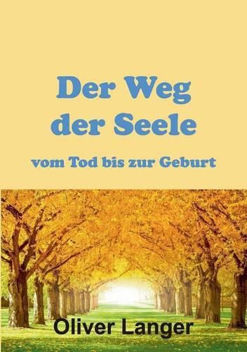 Cover image for Der Weg der Seele vom Tod bis zur Geburt