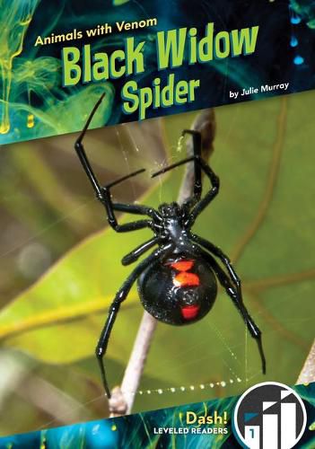 Cover image for Black Widow Spider