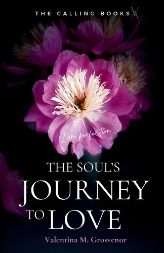 Cover image for The Soul's Journey to Love