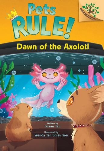 Cover image for Dawn of the Axolotl: A Branches Book (Pets Rule! #9)