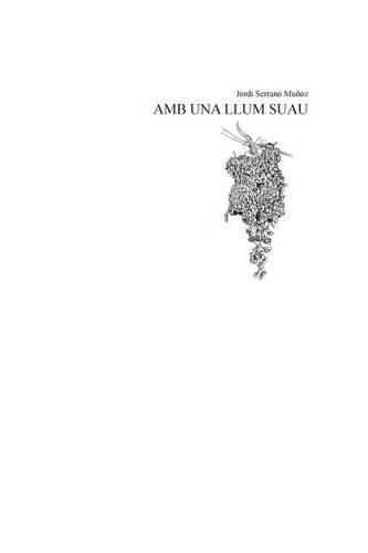 Cover image for Amb una llum suau