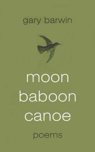 Moon Baboon Canoe