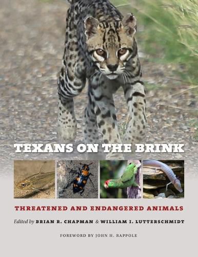 Cover image for Texans on the Brink: Threatened and Endangered Animals