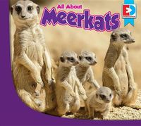 Cover image for All about Meerkats