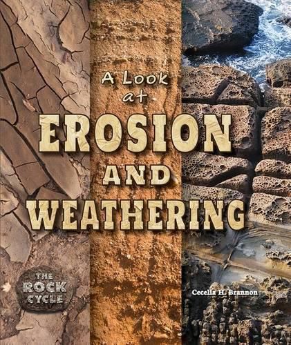 Cover image for A Look at Erosion and Weathering