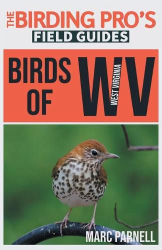 Cover image for Birds of West Virginia (The Birding Pro's Field Guides)