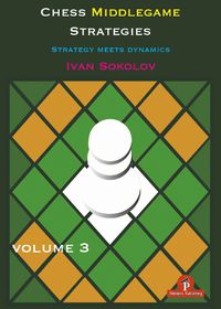 Cover image for Chess Middlegame Strategies Volume 3: Strategy Meets Dynamics