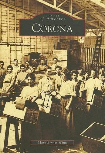 Cover image for Corona