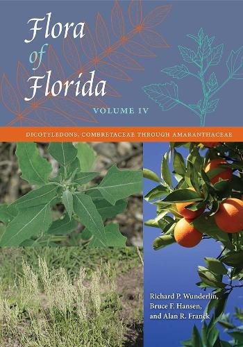 Cover image for Flora of Florida, Volume IV: Dicotyledons, Combretaceae through Amaranthaceae
