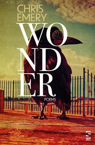 Cover image for Wonder