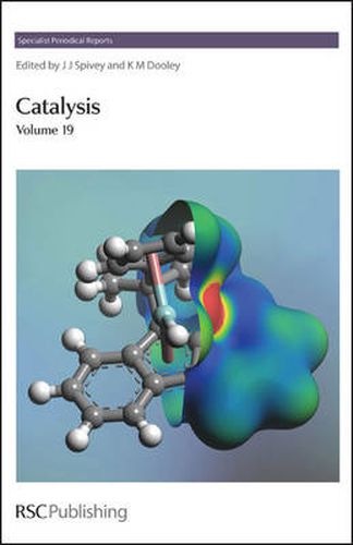 Cover image for Catalysis: Volume 19