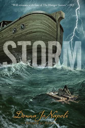 Cover image for Storm