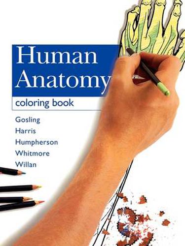 Cover image for Human Anatomy Coloring Book