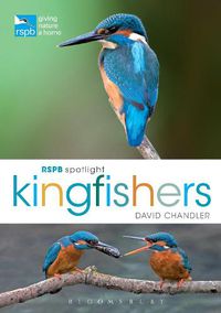 Cover image for RSPB Spotlight Kingfishers