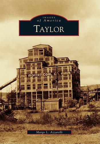 Cover image for Taylor