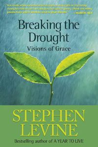 Cover image for Breaking the Drought: Visions of Grace