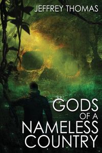 Cover image for Gods of a Nameless Country